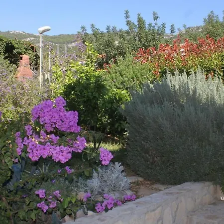Holiday Apartments Komiza, Vis - 2916 Apartamento *