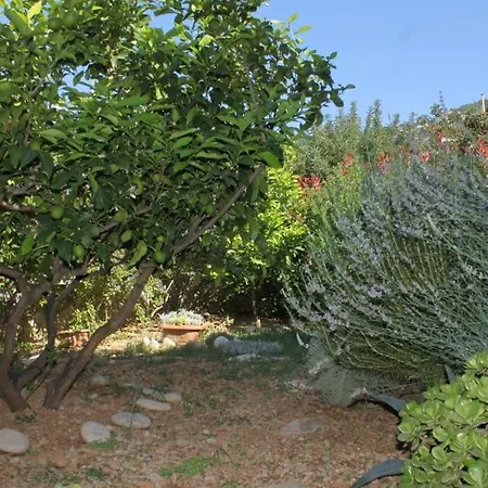 Holiday Apartments Komiza, Vis - 2916 Apartamento Vis